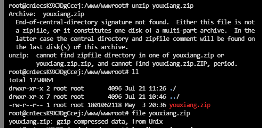 Linux的file命令：别再被文件后缀名骗了，一条命令看穿真实格式